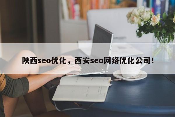 陕西seo优化，西安seo网络优化公司！