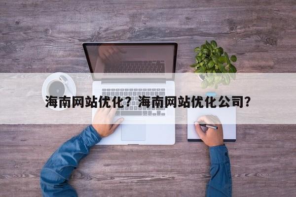 海南网站优化？海南网站优化公司？