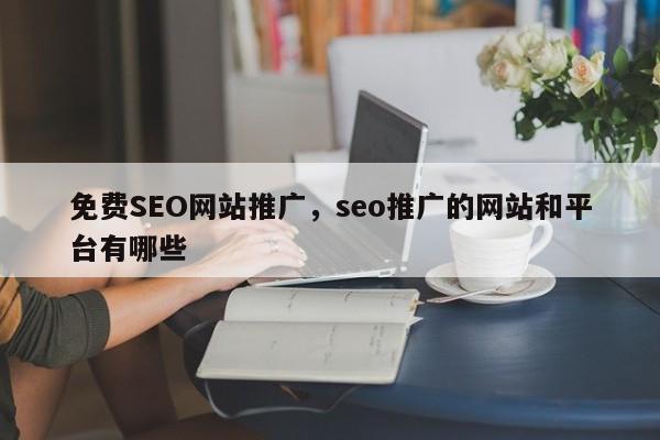 免费SEO网站推广，seo推广的网站和平台有哪些