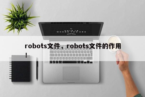 robots文件，robots文件的作用！