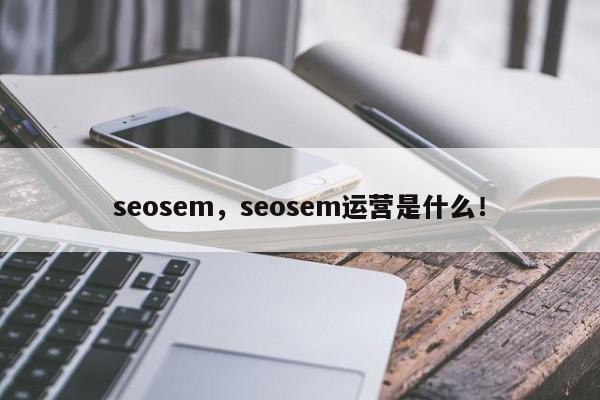 seosem，seosem运营是什么！