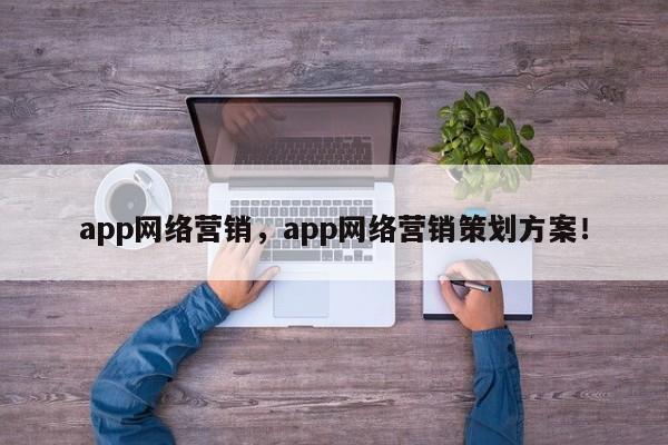 app网络营销，app网络营销策划方案！