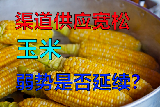 渠道供应宽松，玉米弱势是否延续？